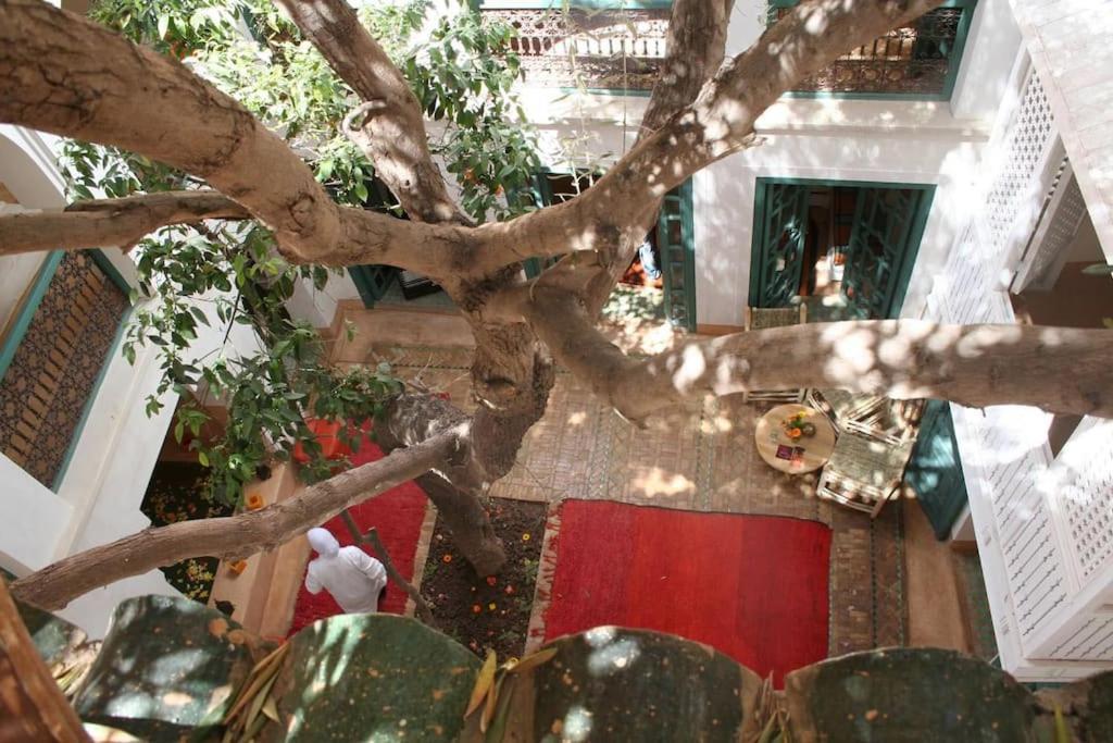 Riad Dar Zitouna Marrakesh - Entire House In Exclusivity 외부 사진